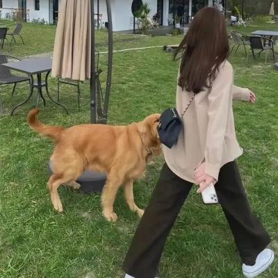 熊猫历险记